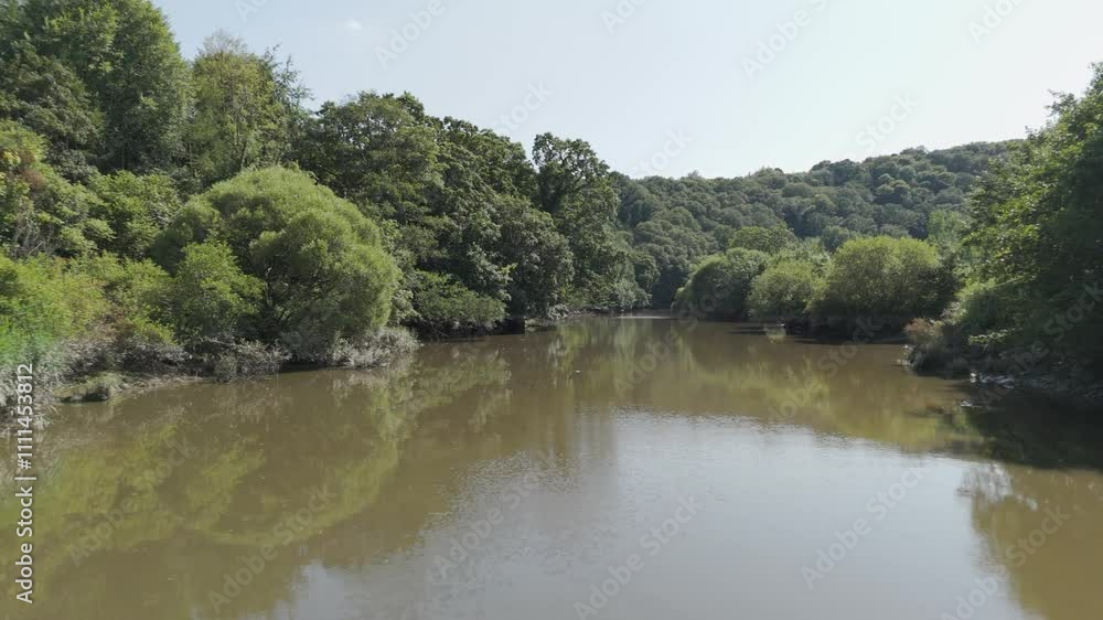 Drone flyover of the River Tamar on a warm summer afternoon, highlighting its serene beauty and natural surroundings Drone flyover of the River Tamar on a warm summer afternoon, highlighting its serene beauty and natural surroundings