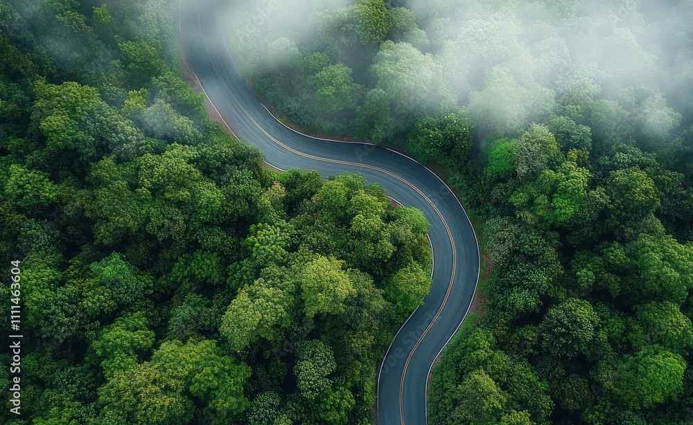 Aerial View of Electric Car on Winding Road in Green Forest with Mist and Golden Hour Lighting Aerial View of Electric Car on Winding Road in Green Forest with Mist and Golden Hour Lighting