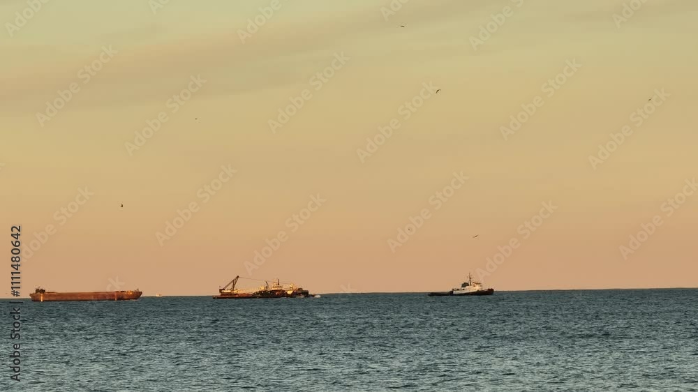 Ships Ships