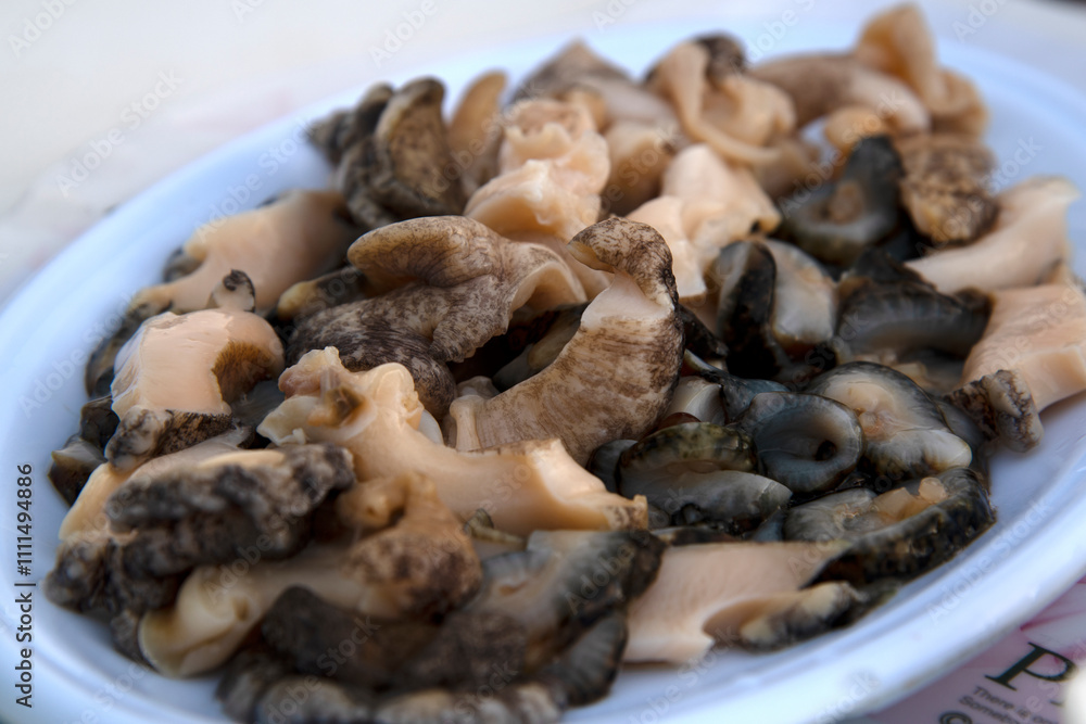 sashimi of conch and sea cucumber on the dish sashimi of conch and sea cucumber on the dish