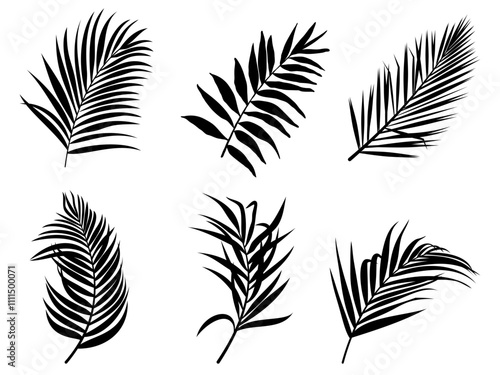 black topical plant leaves line drawn. Symbol silhouette style on white background.	