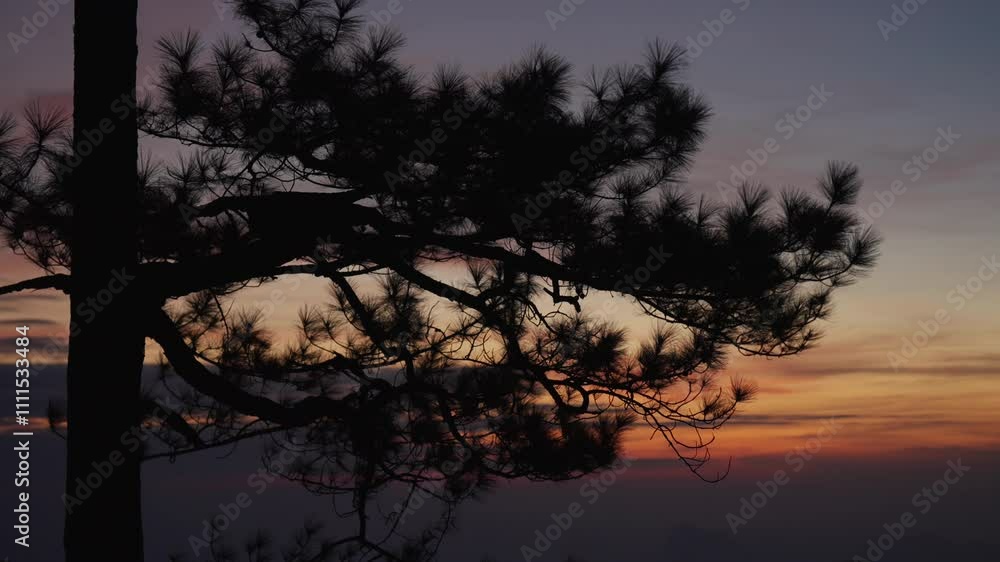 A tree is silhouetted against a beautiful sunset. The sky is a mix of orange and pink hues, creating a serene and peaceful atmosphere. The tree's branches are bare, emphasizing its strength A tree is silhouetted against a beautiful sunset. The sky is a mix of orange and pink hues, creating a serene and peaceful atmosphere. The tree's branches are bare, emphasizing its strength