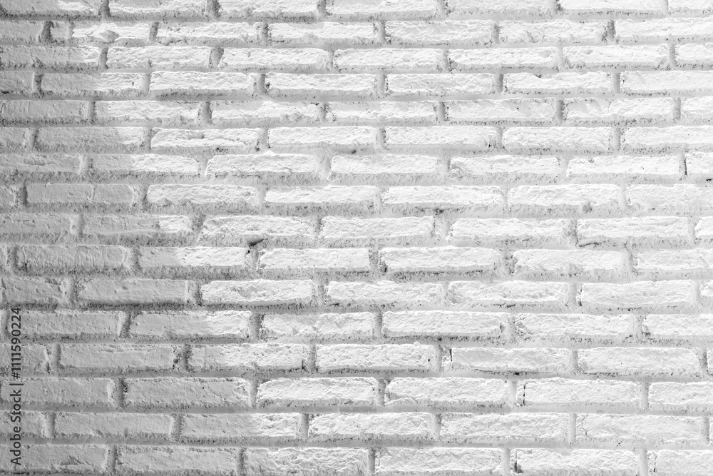 Wall interior background, studio and backdrops show products.with shadow from window color white and grey. background for text insertion and presentation product Wall interior background, studio and backdrops show products.with shadow from window color white and grey. background for text insertion and presentation product