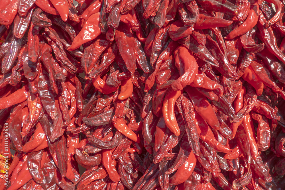 Red Hot Chili Peppers Hanging to Dry Red Hot Chili Peppers Hanging to Dry