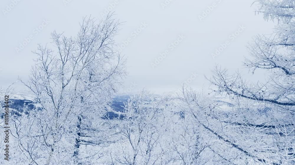 Frost-covered trees in winter mountains. Snow-covered mountains in the background. Frosted branches swayind in the wind. Beautiful winter landscape.
Frost-covered trees in winter mountains. Snow-covered mountains in the background. Frosted branches swayind in the wind. Beautiful winter landscape.