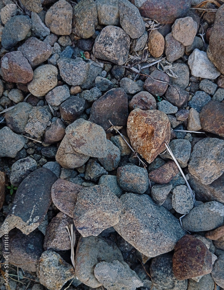 Stones in nature give their own nuance and character when looking at them Stones in nature give their own nuance and character when looking at them