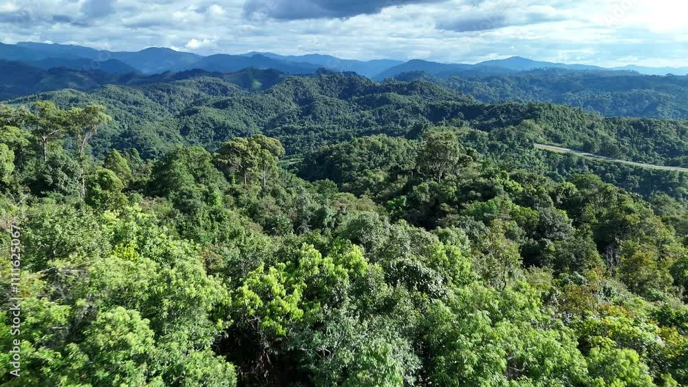 aerial view of beautiful tropical rainforest full of large trees and covered with clouds in the rainy season of Thailand aerial view of beautiful tropical rainforest full of large trees and covered with clouds in the rainy season of Thailand