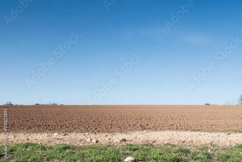 Expansive agricultural field under clear blue sky in rural setting during daytime photo