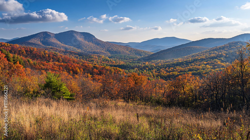 Vibrant autumn colors decorate the mountains in a scenic landscape during daylight hours