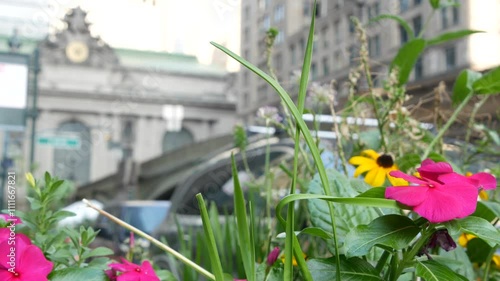 New York City Grand Central Terminal railway station building on 42 street. Manhattan Midtown, Pershing Square, NYC, USA. American urban scene, United States. Summer or spring flowers on flowerbed.