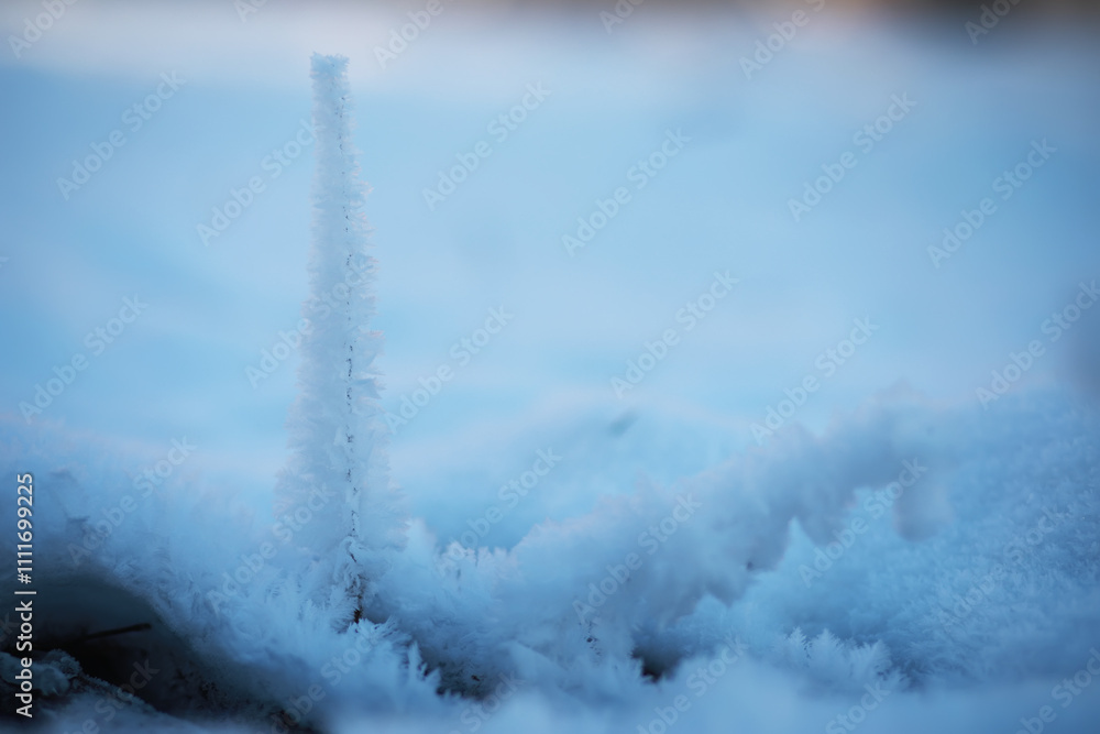 Fotografie Close-Up of Frost-Covered Ground with Ice Formation in Winter Landscape