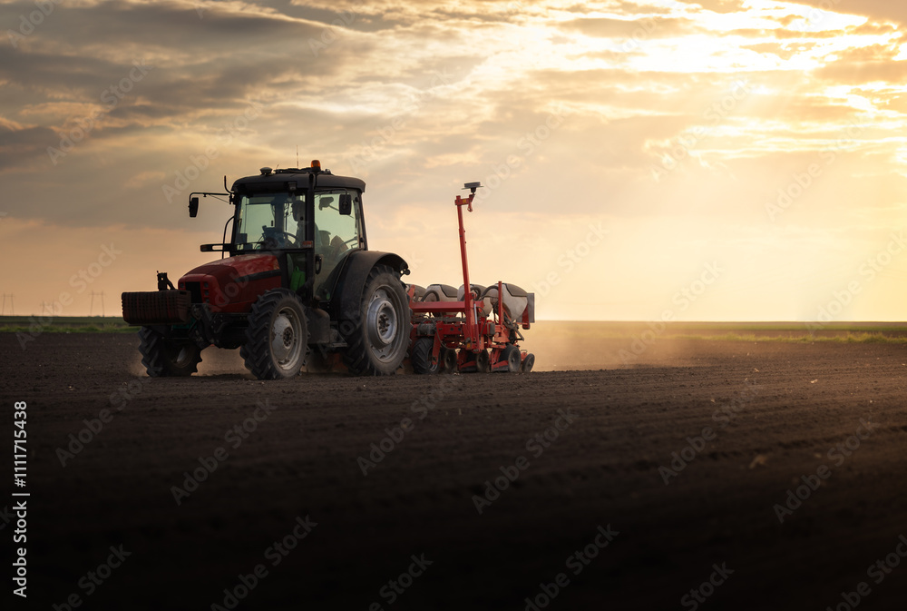 Obraz premium Farmer with tractor seeding in sunset