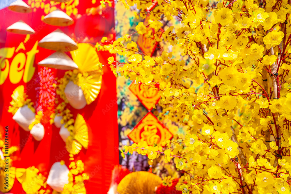 Ochna integerrima or Hoa Mai tree with lucky money decoration. Traditional culture on Tet Holiday in Vietnam Ochna integerrima or Hoa Mai tree with lucky money decoration. Traditional culture on Tet Holiday in Vietnam