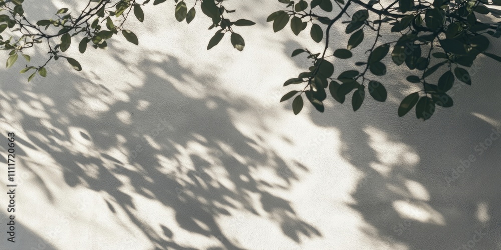 Abstract nature shadows create a rough gray texture on a white wall, showcasing the interplay between trees and leaves. This captivating scene highlights the beauty of shadows in nature. Abstract nature shadows create a rough gray texture on a white wall, showcasing the interplay between trees and leaves. This captivating scene highlights the beauty of shadows in nature.
