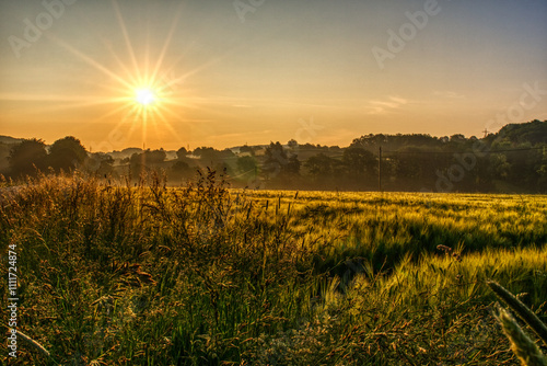 Sonnenaufgang über dem Feld photo