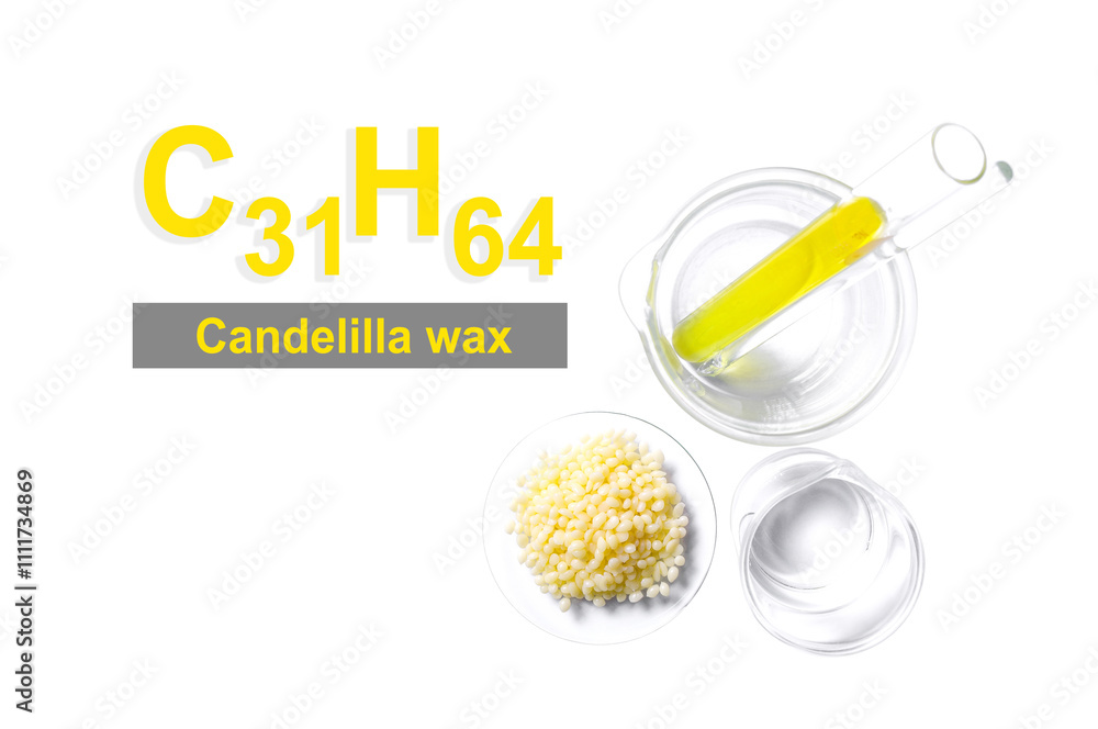 Candelilla wax with molecular formula C31H64. Chemical ingredient for Cosmetics and Toiletries product. Candelilla wax with molecular formula C31H64. Chemical ingredient for Cosmetics and Toiletries product.