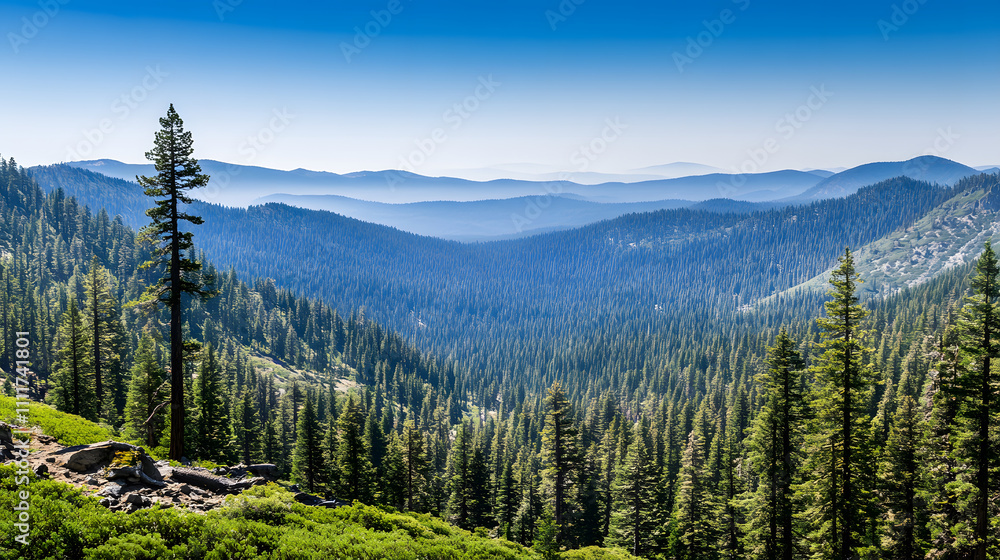 A breathtaking view of mountains covered in lush greenery, framed by tall pine trees under a clear blue sky A breathtaking view of mountains covered in lush greenery, framed by tall pine trees under a clear blue sky