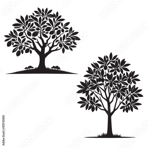 Sapodilla tree silhouette - vector image of sapodilla  - tree silhouette - nature symbol - sapodilla tree set 