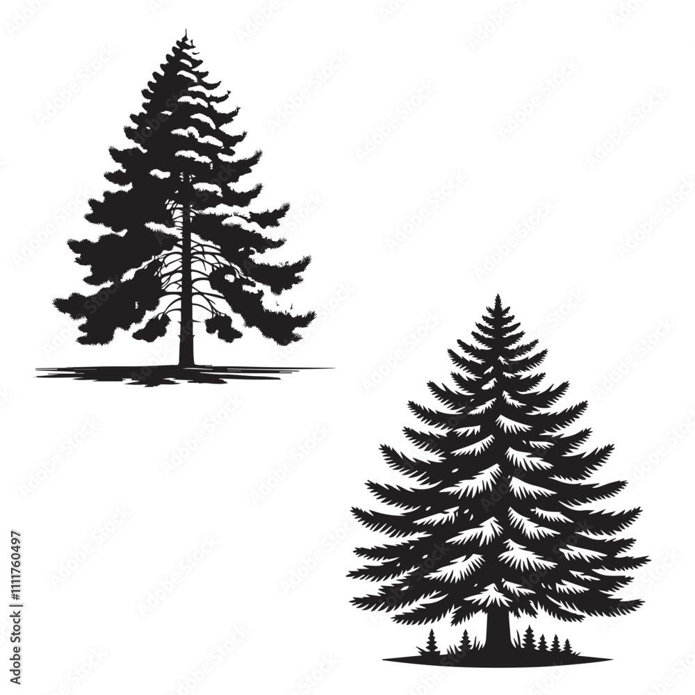 Obraz premium White pine tree silhouette - vector image of white pine - tree silhouette - nature symbol -white pine tree set