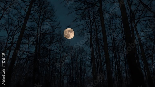 Mystical Moonlight Forest