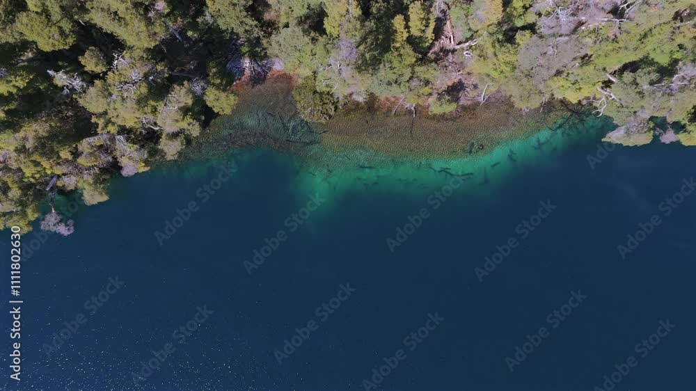 Top down view flight over the coast of Lake Espejo, blue water and trees on the cliff, slow motion and copy space Top down view flight over the coast of Lake Espejo, blue water and trees on the cliff, slow motion and copy space