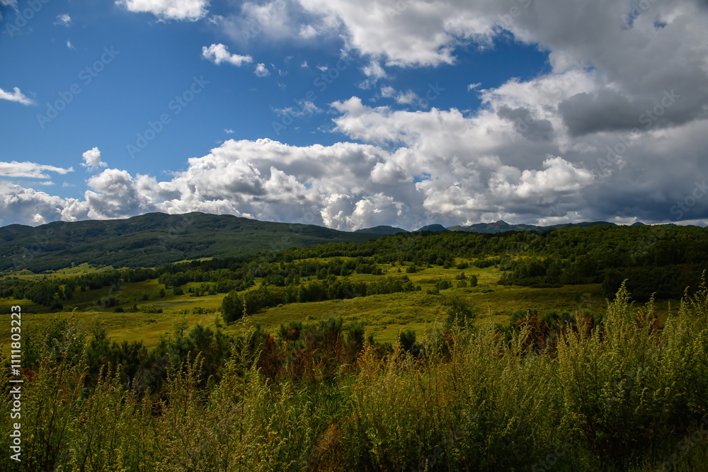 Obraz premium landscape with clouds