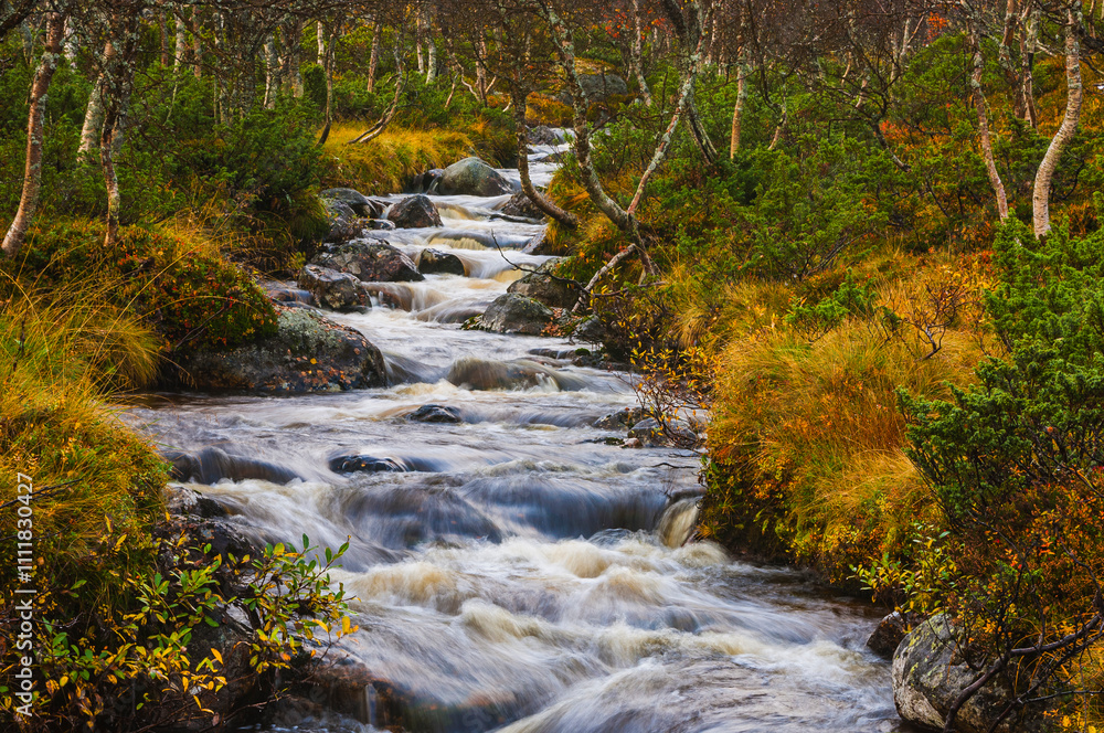 Flowing river in a serene forest landscape during autumn with colorful foliage Flowing river in a serene forest landscape during autumn with colorful foliage