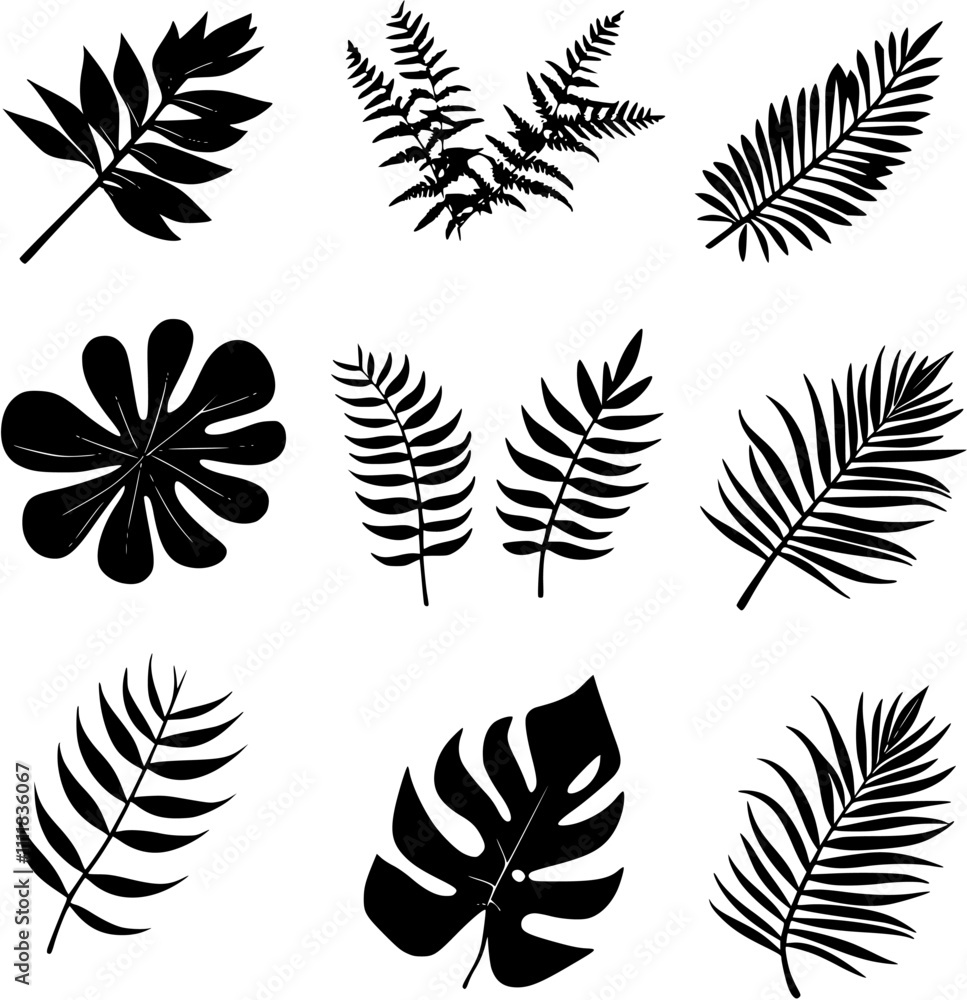 Set of 8 isolated fern silhouette vector illustrations Set of 8 isolated fern silhouette vector illustrations