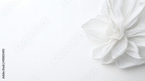  A frame design of gentle flowers and plants with a blank background