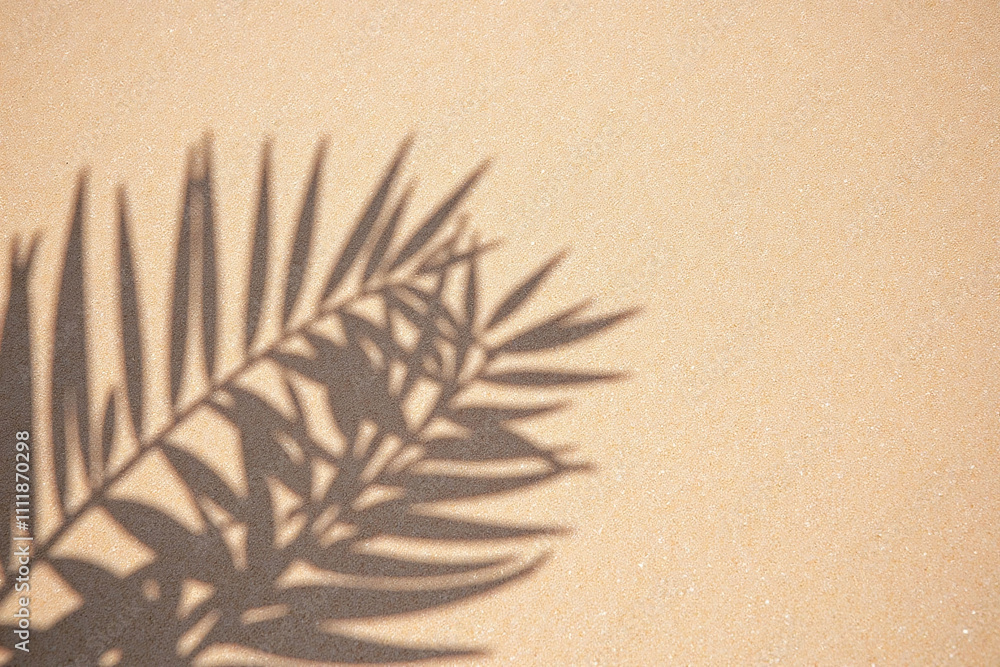 Sandy surface natural light palm frond shadow pattern Sandy surface natural light palm frond shadow pattern