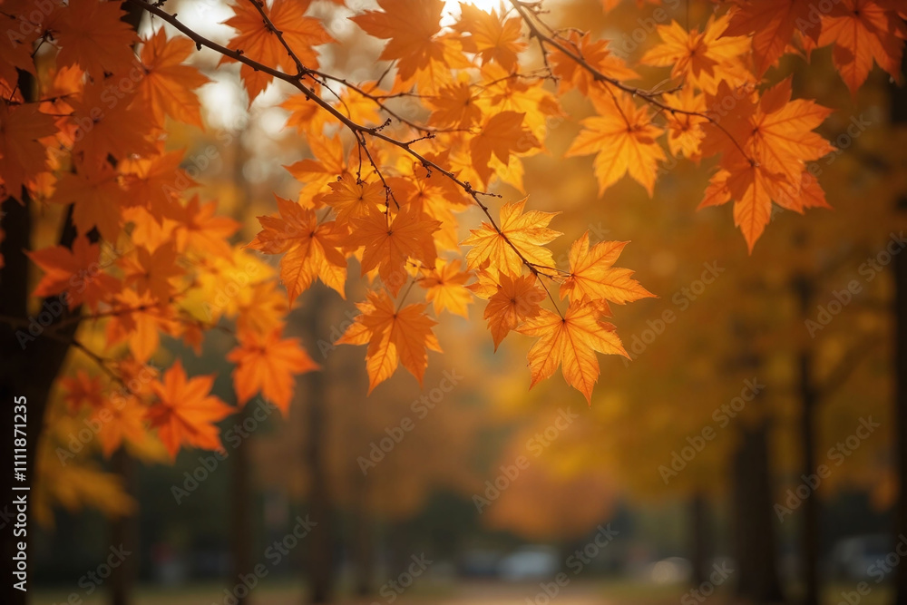 Serene autumn park forest scene golden light leaves dimension Serene autumn park forest scene golden light leaves dimension