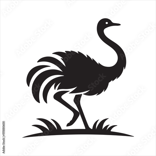 illustration of an ostrich photo