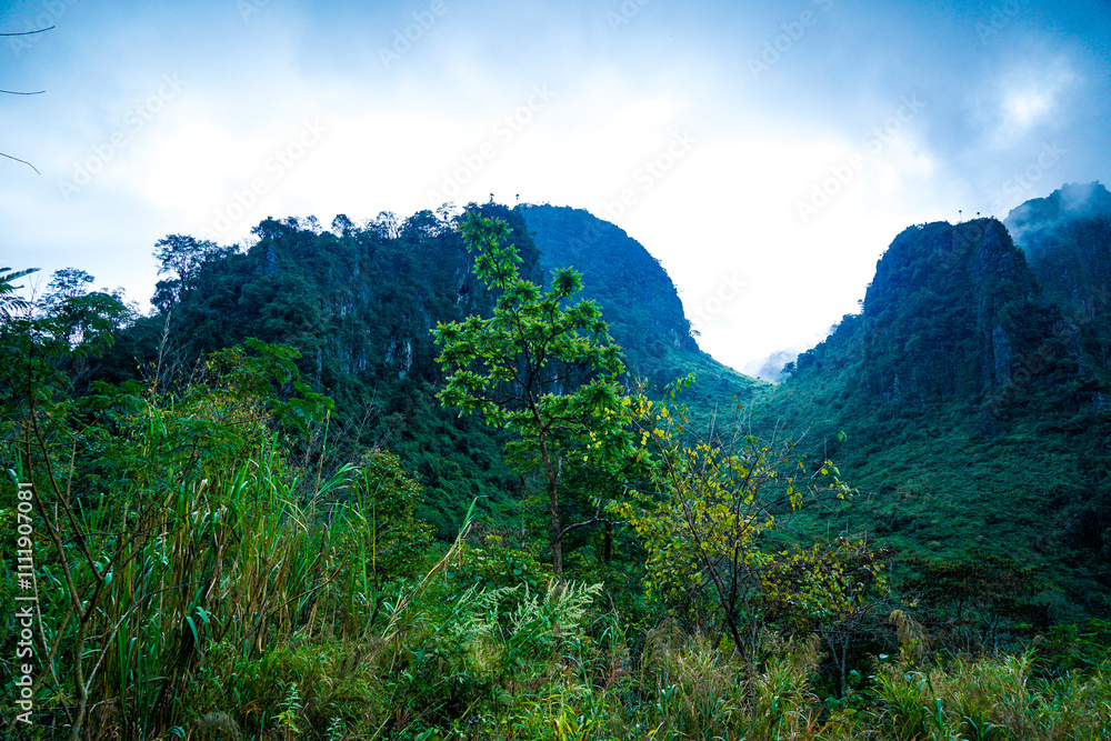 Majestic green mountains lush valley nature photography serene landscape wide angle natural beauty and tranquility Majestic green mountains lush valley nature photography serene landscape wide angle natural beauty and tranquility