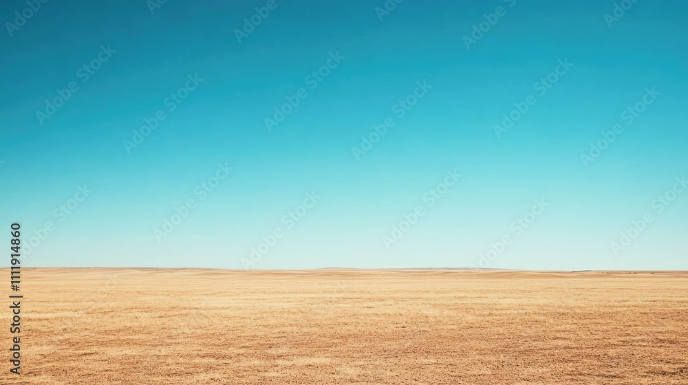 Clear sky showcasing tranquility and focus over a vast golden landscape in daylight Clear sky showcasing tranquility and focus over a vast golden landscape in daylight