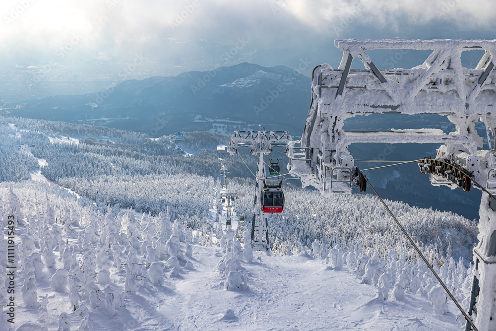 Obraz premium 山形県 蔵王の樹氷 