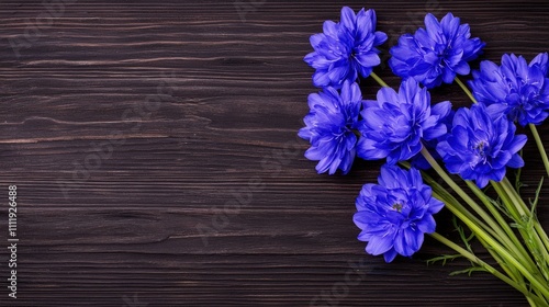 Vibrant Blue Flowers on Dark Wood Background Floral Photography