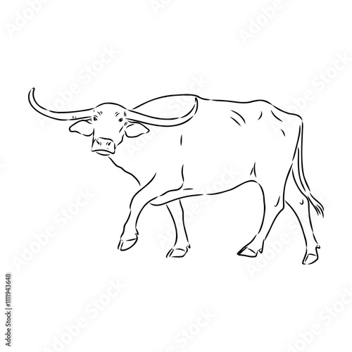 Bull in doodle style. Icons sketch hand made. Vector editable stroke.