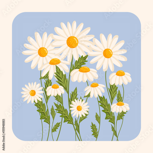 Several chamomile flowers grow. Botanical vector isolated illustration for postcard, poster, invitation, ad, decor, fabric and other uses. Flowers for spring and summer holidays.