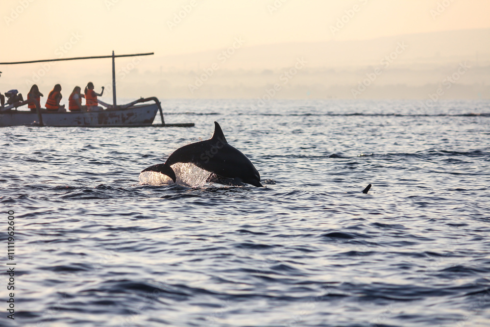 Fototapeta premium Traditional Outrigger Boats and Ocean Wildlife