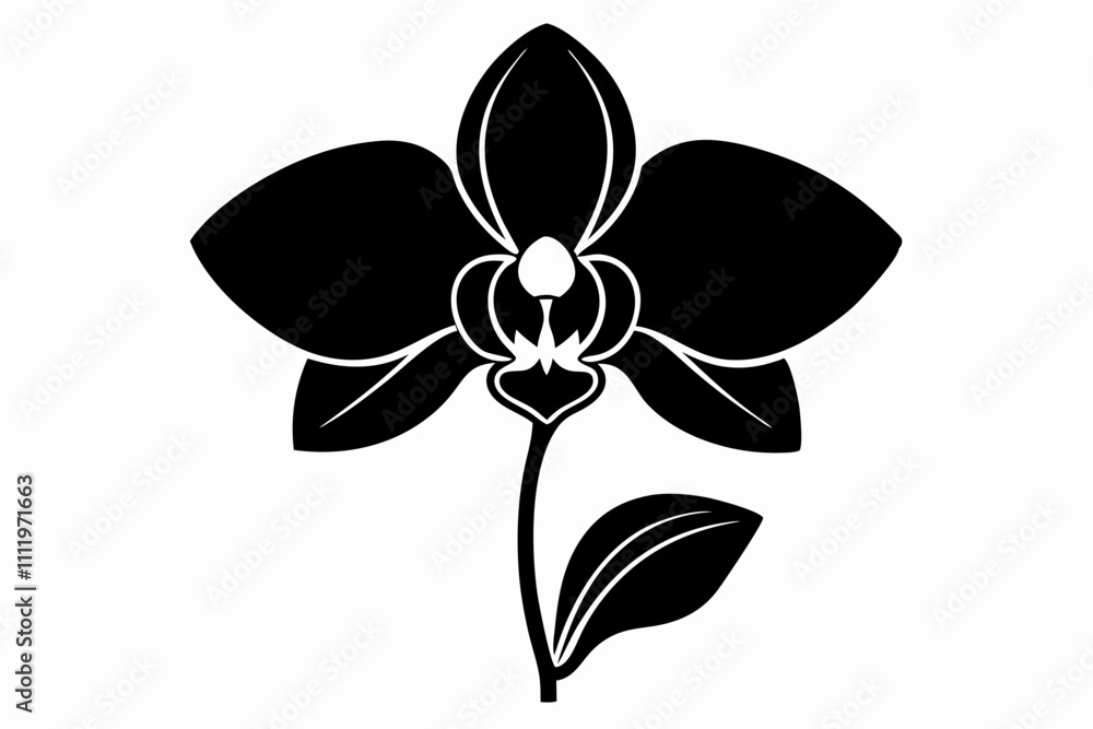 A simple Evening Orchid silhouette black vector white background A simple Evening Orchid silhouette black vector white background