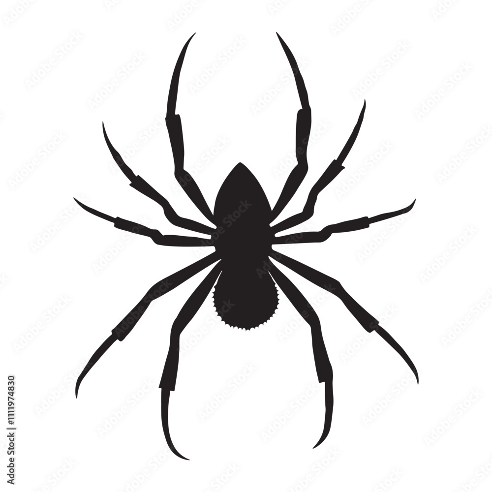 Spider silhouette, spider icon vector art illustration isolated on white background. Spider silhouette, spider icon vector art illustration isolated on white background.