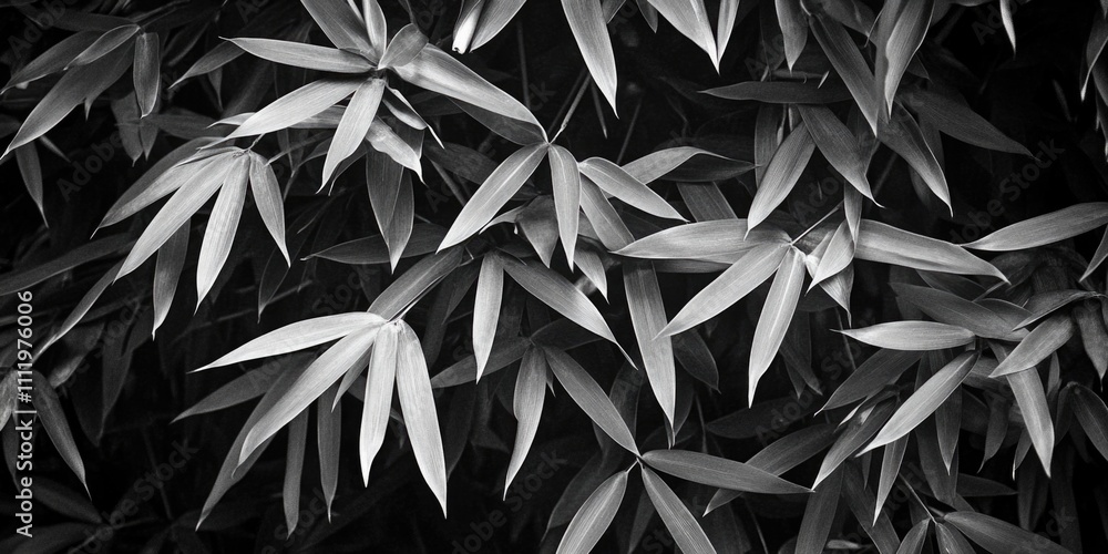 Bamboo Leaves Silhouette Bamboo Leaves Silhouette