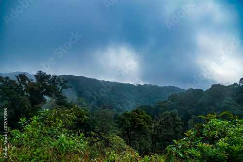 Exploration of lush green hills nature landscape foggy atmosphere scenic viewpoint tranquil environment for adventure enthusiasts