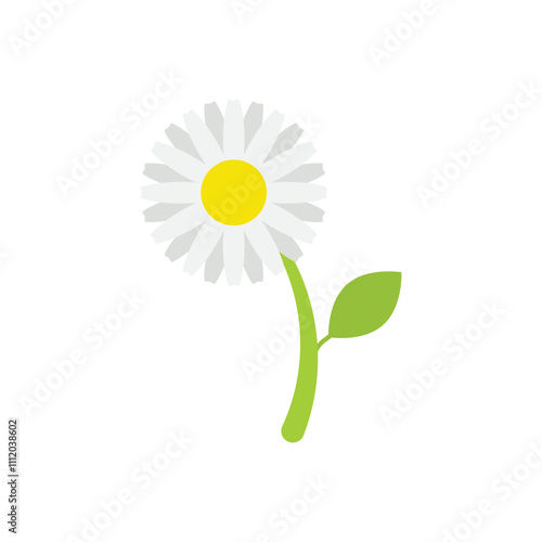 Calendula  vector icon