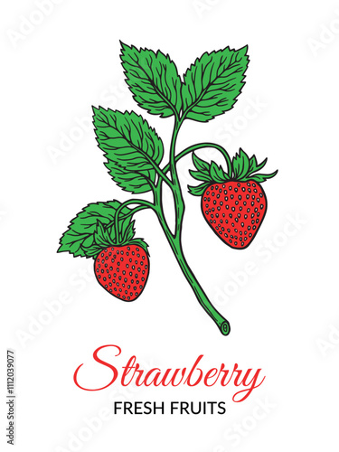 An illustrated branch of a strawberry plant with green leaves and two vibrant red strawberries, accompanied by the text 