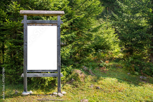 Obraz na płótnie White blank wooden sign board in green forest isolated on white w salonie