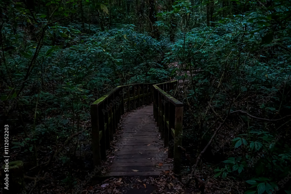 Fototapeta premium Winding wooden bridge through lush green forest nature photography tranquil environment ground-level perspective serenity concept