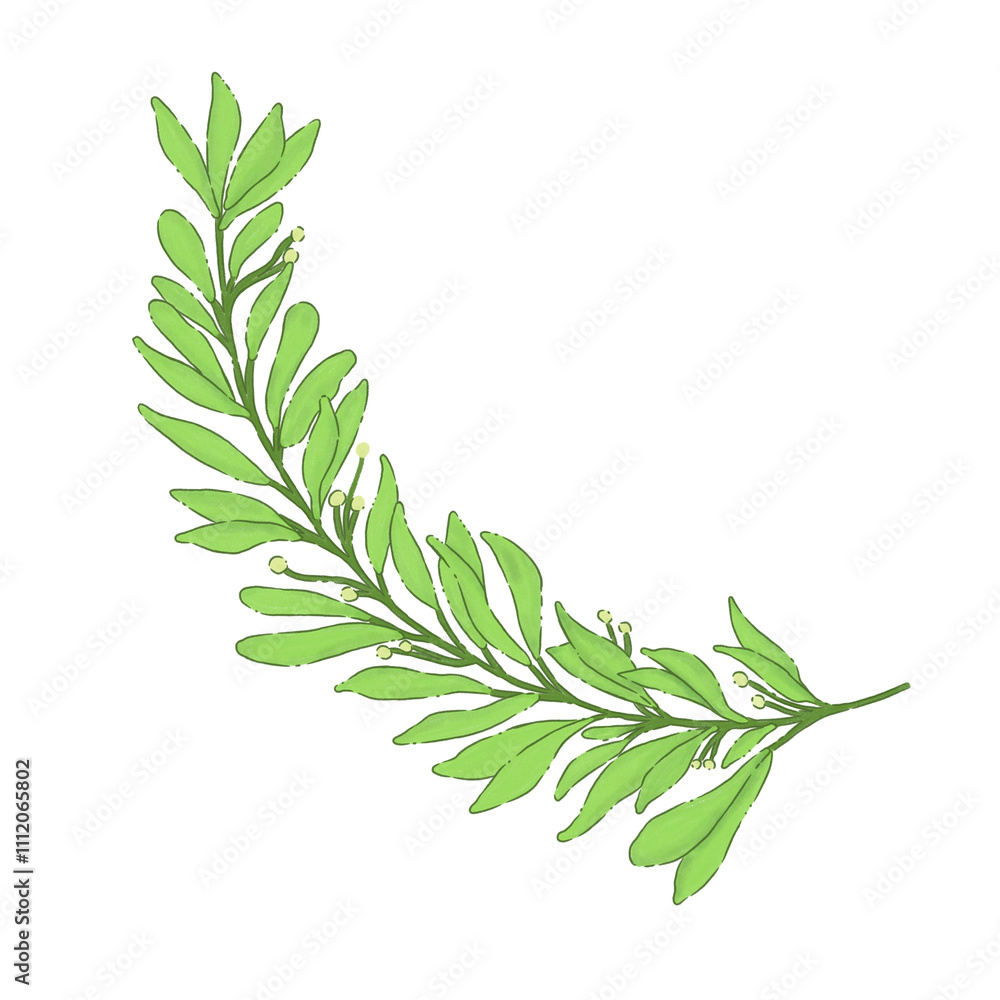 Naklejka premium branch of rosemary isolated on white