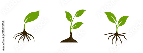 A clean vector icon featuring a green leaf and branching roots, representing natural health, sustainability, and eco conscious agriculture, perfect for stickers and bio products.