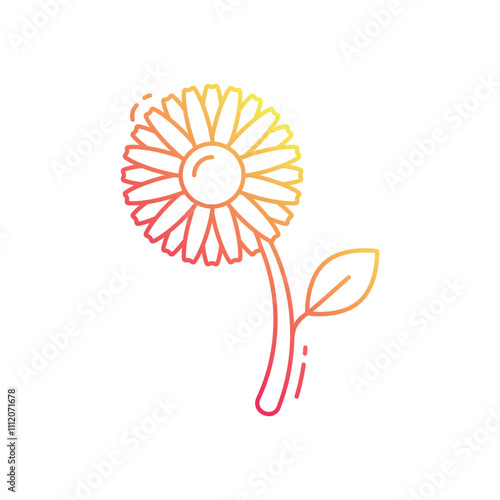 Calendula  vector icon